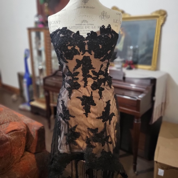 Absolutely gorgeous Victorian gothic style black lace high low prom dress. - Picture 2 of 6